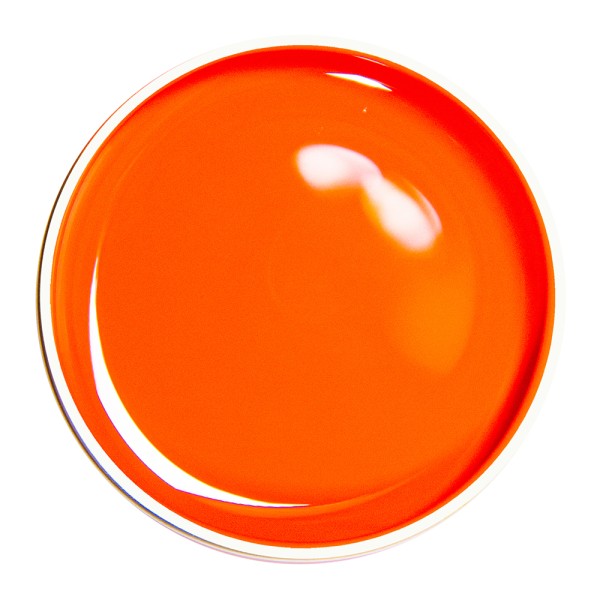 Alezori Paint Gel Orange 5g